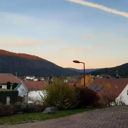 Chalet Des Musiciens, Domek alpejski Gérardmer